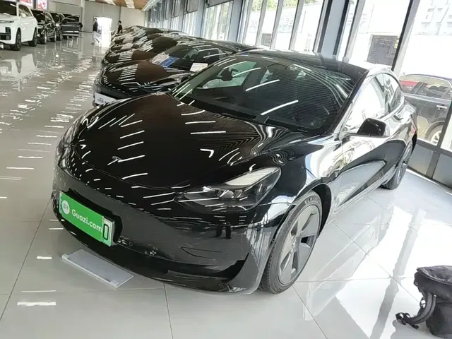 Tesla Model 3 2022 Model Rear-Wheel Drive Version