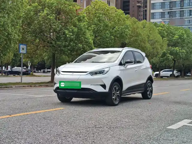 BYD Yuan Pro 2023 401KM Luxury