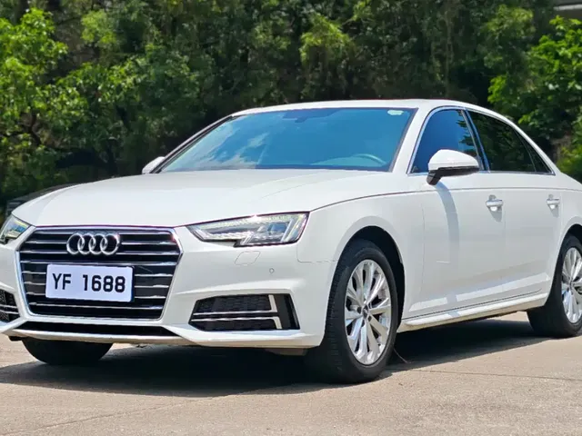 Audi A4L 2019 40 TFSI Progressive (China VI)