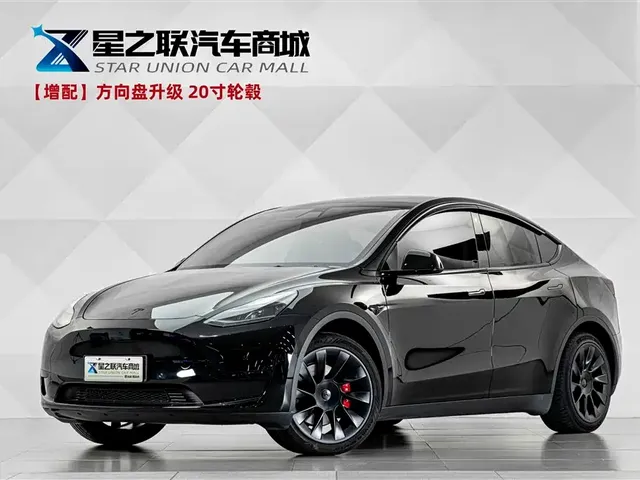 Tesla Model Y 2022 Facelift Rear-Wheel Drive Version