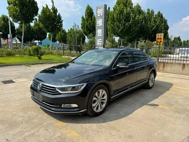 Volkswagen Magotan 2019 330TSI DSG Luxury Class China VI