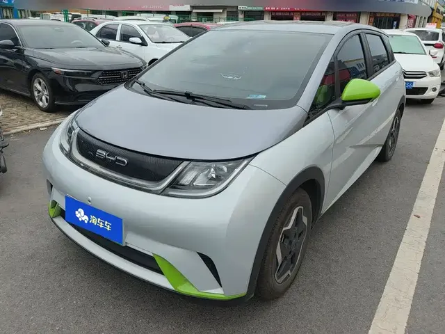 BYD Dolphin 2021 405km Freedom Edition