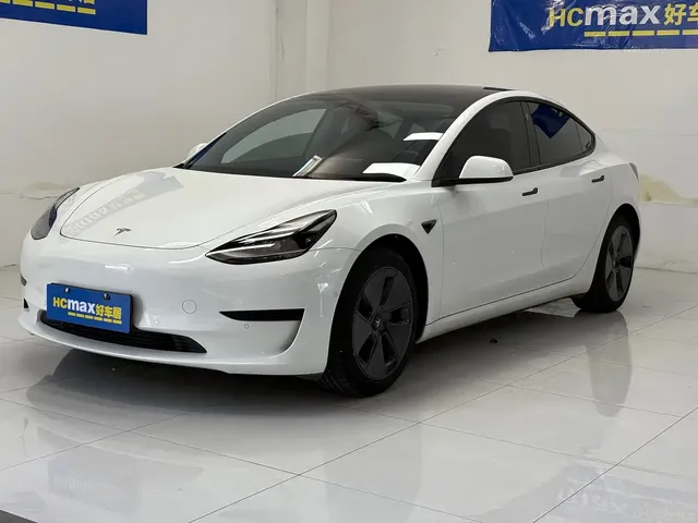 Tesla Model 3 2021 Facelift Standard Range RWD Upgrade 3D1