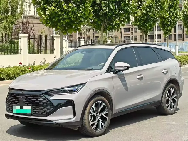 BYD Tang New Energy 2025 DM-i 115KM Premium