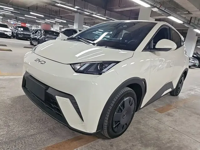 BYD Seagull 2025 305km Freedom