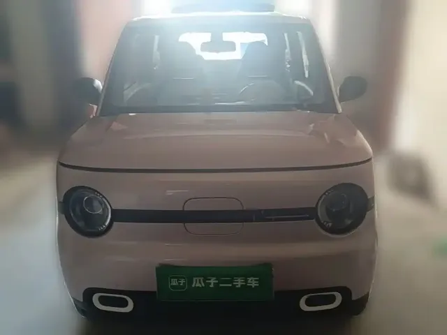 Geely Galaxy Panda 2025 Panda mini 210km Vitality Bear