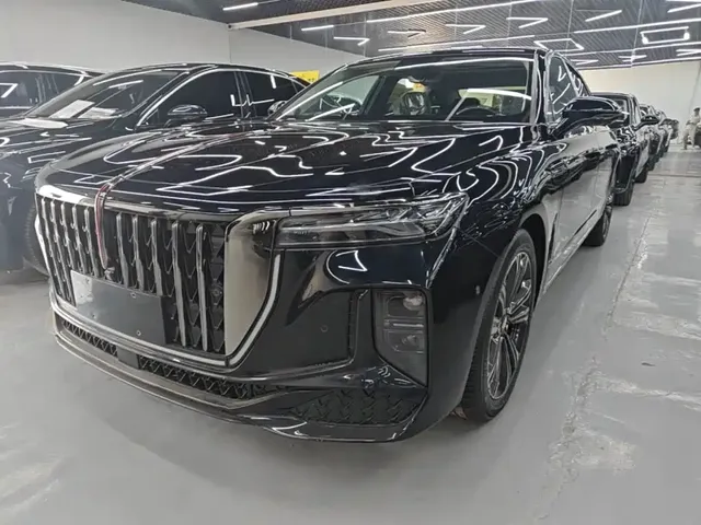 Hongqi H9 2024 2.0T Qi Chang Private Fashion Edition
