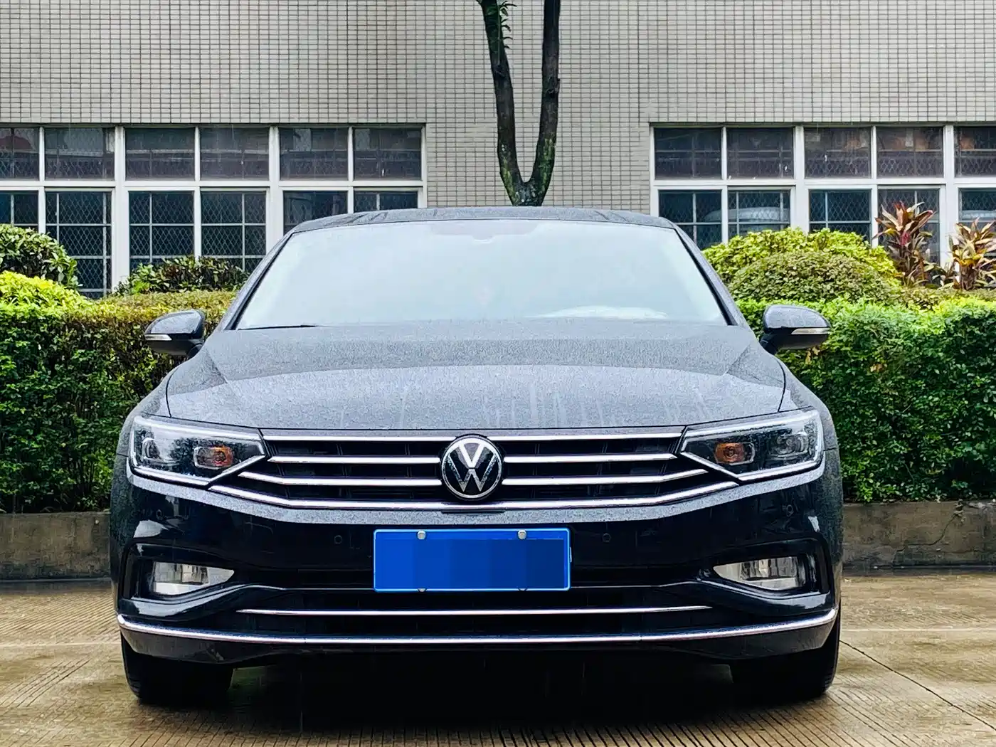 Volkswagen Magotan 2020 330TSI DSG Luxury