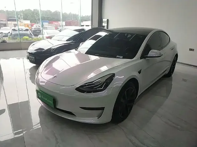Tesla Model 3 2021 Facelift Standard Range RWD Upgrade 3D1