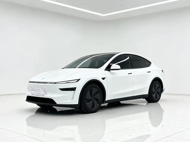 Tesla Model Y 2025 Rear-Wheel Drive