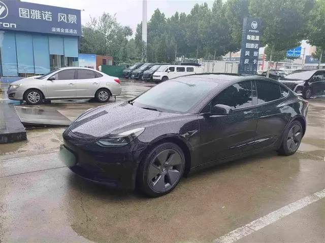 Tesla Model 3 2022 Model Rear-Wheel Drive Version