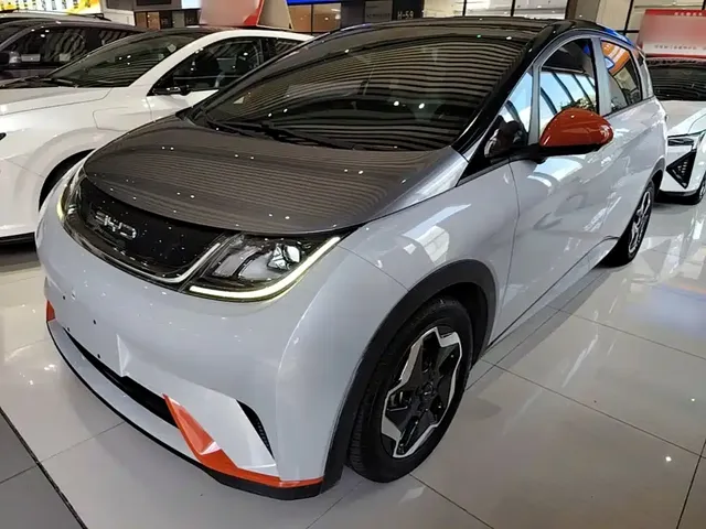 BYD Dolphin 2021 Model 405km Fashion Edition