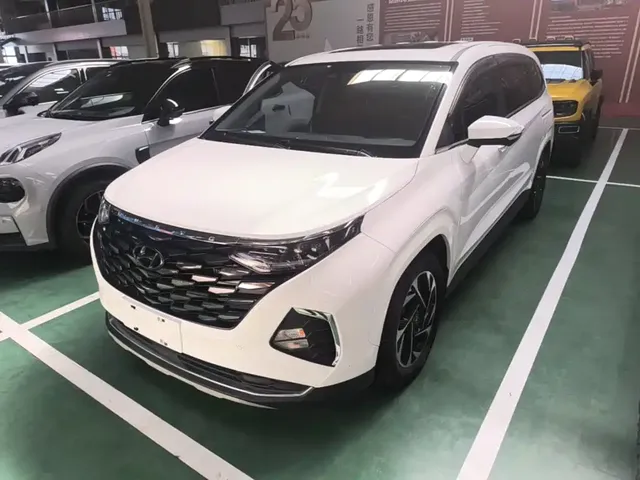 Hyundai Kustu 2021 380TGDi Smart Love Flagship TOP Premium