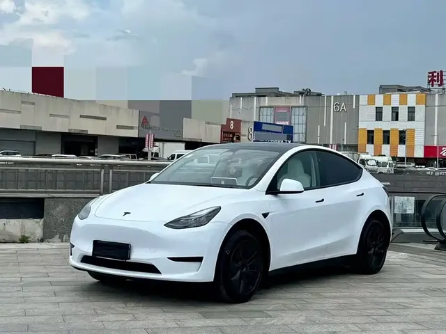 Tesla Model Y 2024 Rear-Wheel Drive Version