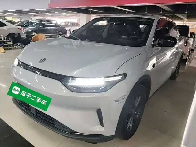 Leapmotor C11 2023 Pure Electric 500 Comfort Edition