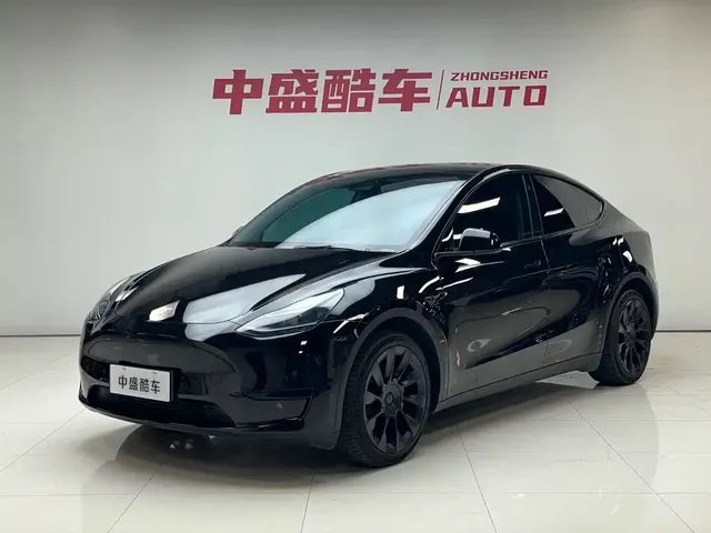 Tesla Model Y 2022 Rear-Wheel Drive Version