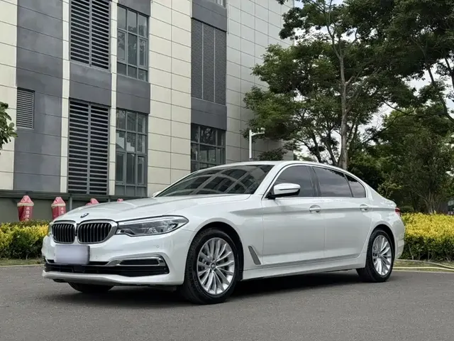 BMW 5 Series 2020 530Li Premium Luxury Package
