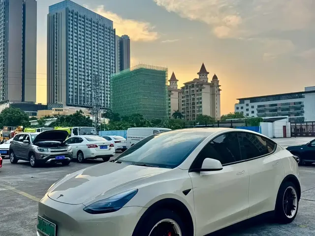 Tesla Model Y 2022 Rear-Wheel Drive Version