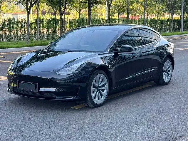 Tesla Model 3 2021 Standard Range Rear-Wheel Drive Upgrade 3D6