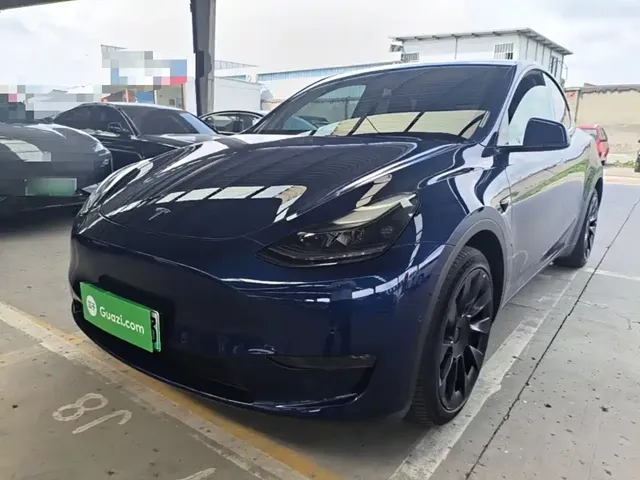 Tesla Model Y 2021 Long Range All-Wheel Drive 3D7