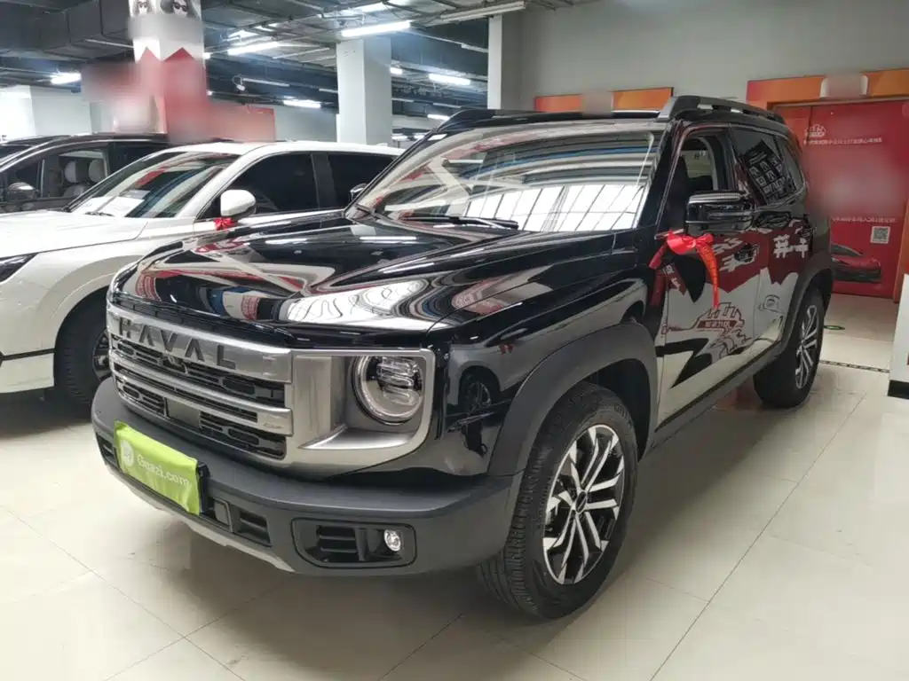 Haval Big Dog 2024 1.5T DCT Border Collie Edition