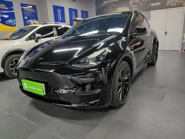 Tesla Model Y 2021 Standard Range Rear-Wheel Drive
